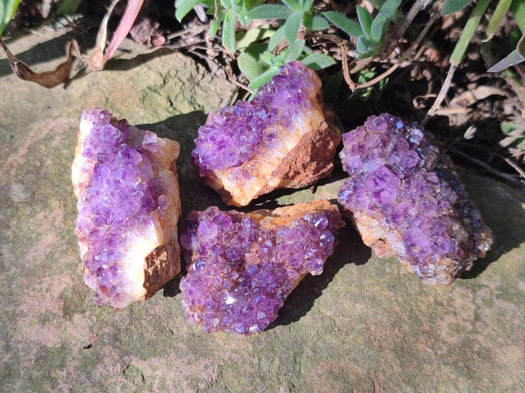 Natural Dark Purple Amethyst Crystal Clusters x 35 From Boekenhouthoek, South Africa - Toprock Gemstones and Minerals 