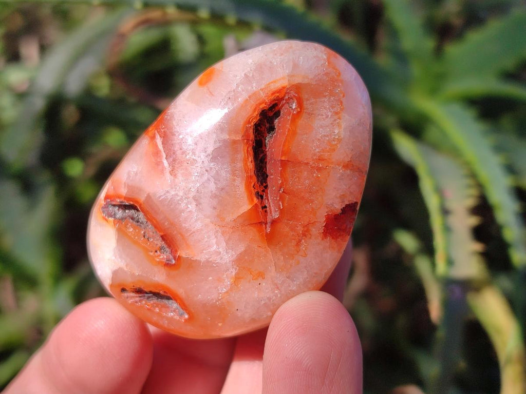 Polished Carnelian Agate Gemstone Galets x 24 From Madagascar - Toprock Gemstones and Minerals 