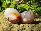 Polished Carnelian Agate Gemstone Galets x 24 From Madagascar - Toprock Gemstones and Minerals 