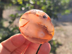 Polished Carnelian Agate Gemstone Galets x 24 From Madagascar - Toprock Gemstones and Minerals 