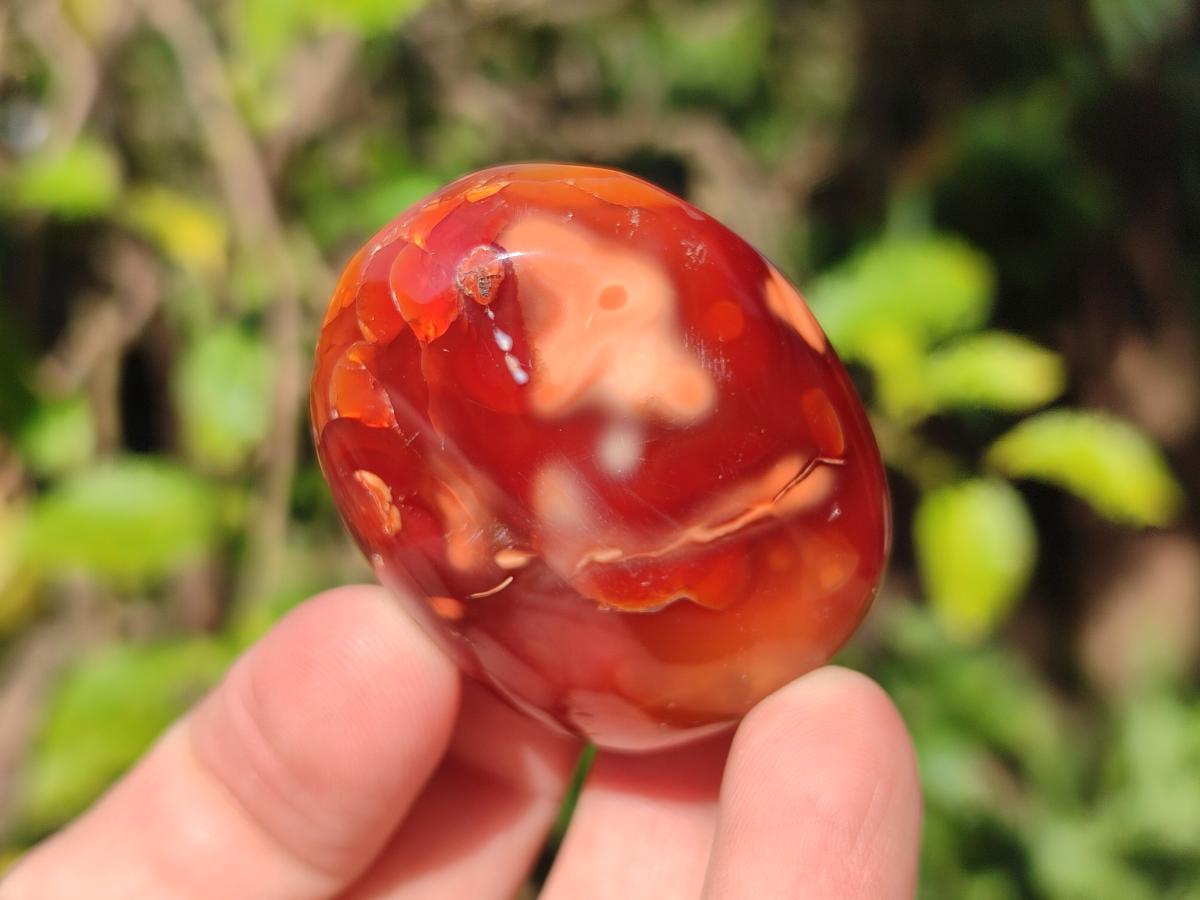 Polished Carnelian Agate Gemstone Galets x 24 From Madagascar - Toprock Gemstones and Minerals 