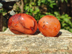 Polished Carnelian Agate Gemstone Galets x 24 From Madagascar - Toprock Gemstones and Minerals 