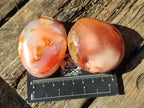 Polished Carnelian Agate Gemstone Galets x 24 From Madagascar - Toprock Gemstones and Minerals 
