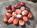 Polished Carnelian Agate Gemstone Galets x 24 From Madagascar - Toprock Gemstones and Minerals 