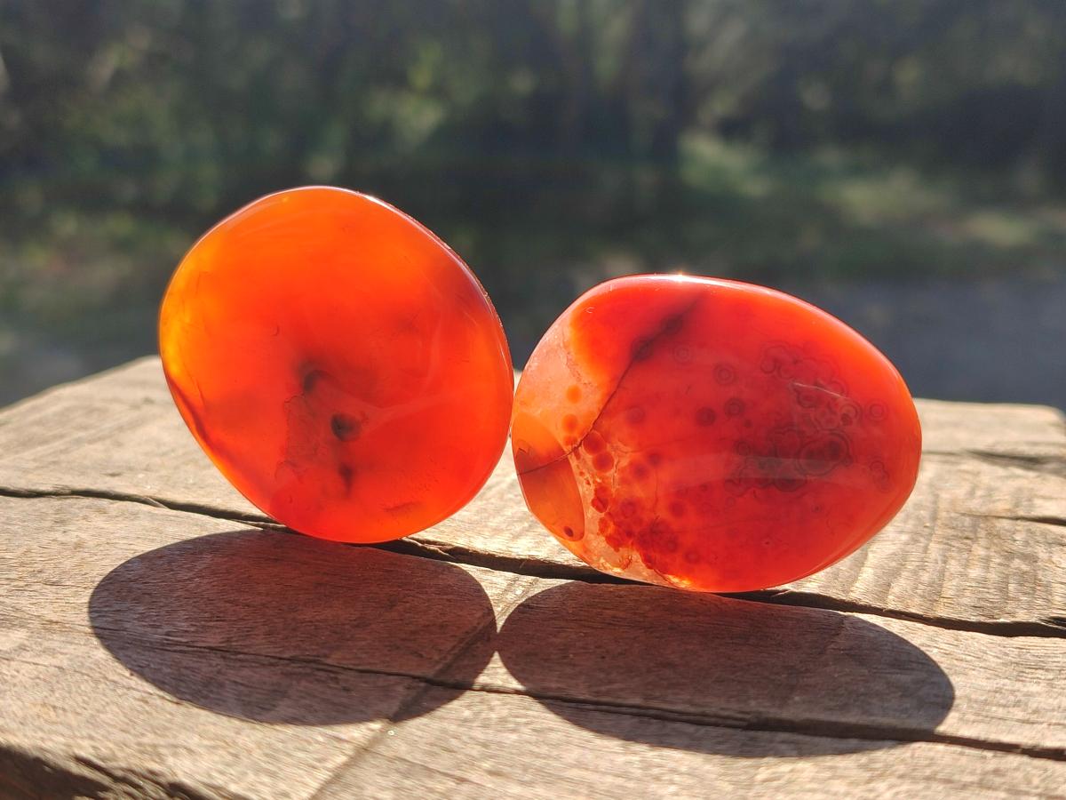 Polished Carnelian Agate Gemstone Galets x 24 From Madagascar - Toprock Gemstones and Minerals 