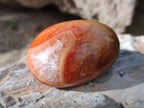 Polished Carnelian Agate Gemstone Galets x 24 From Madagascar - Toprock Gemstones and Minerals 