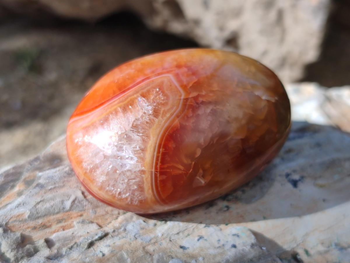 Polished Carnelian Agate Gemstone Galets x 24 From Madagascar - Toprock Gemstones and Minerals 