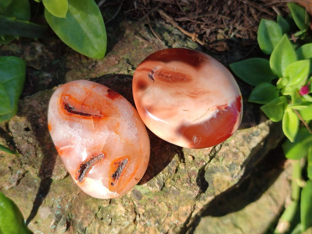 Polished Carnelian Agate Gemstone Galets x 24 From Madagascar - Toprock Gemstones and Minerals 
