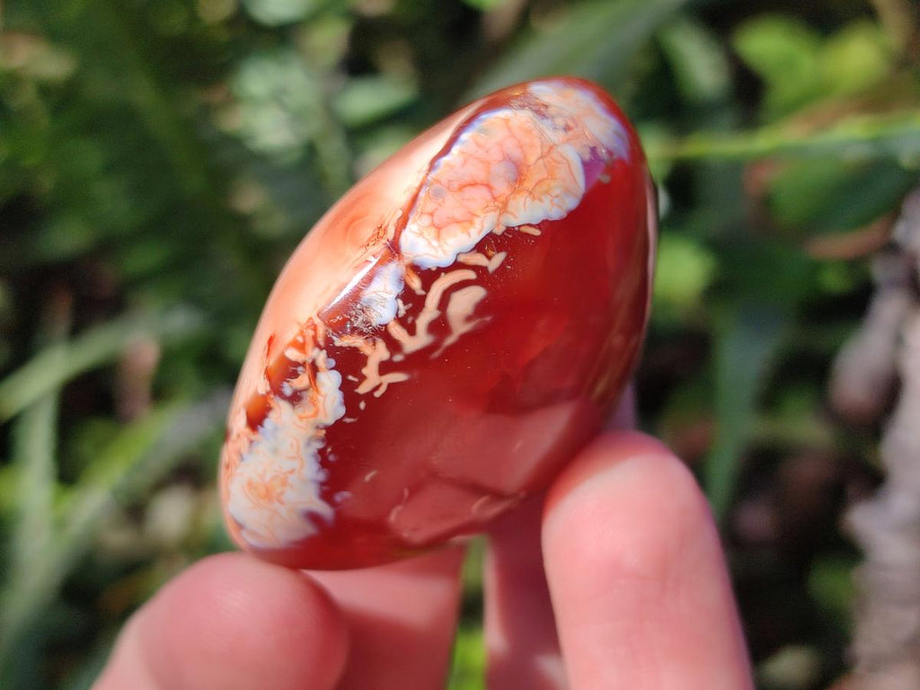 Polished Carnelian Agate Gemstone Galets x 24 From Madagascar - Toprock Gemstones and Minerals 
