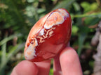 Polished Carnelian Agate Gemstone Galets x 24 From Madagascar - Toprock Gemstones and Minerals 