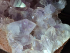 Natural Large Jacaranda Amethyst Cluster x 1 From Mumbwa, Zambia - Toprock Gemstones and Minerals 