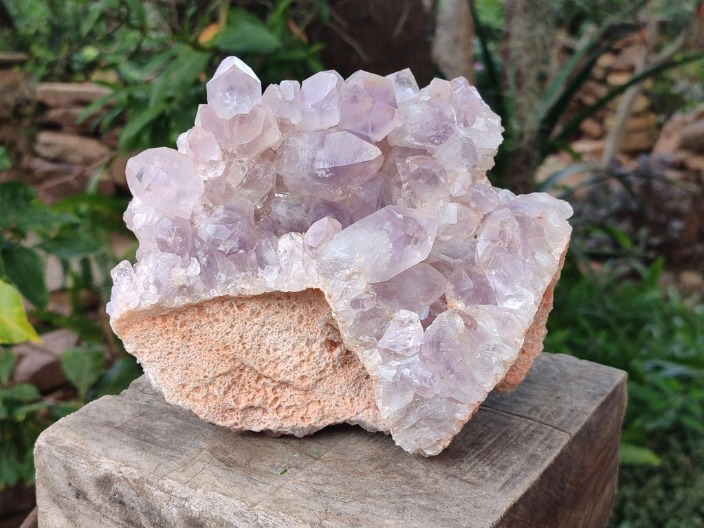 Natural Large Jacaranda Amethyst Cluster x 1 From Mumbwa, Zambia - Toprock Gemstones and Minerals 