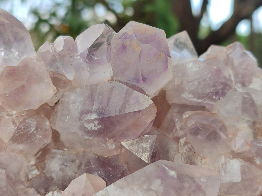 Natural Large Jacaranda Amethyst Cluster x 1 From Mumbwa, Zambia - Toprock Gemstones and Minerals 