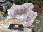 Natural Large Jacaranda Amethyst Cluster x 1 From Mumbwa, Zambia - Toprock Gemstones and Minerals 