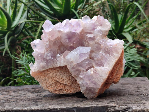 Natural Large Jacaranda Amethyst Cluster x 1 From Mumbwa, Zambia - Toprock Gemstones and Minerals 