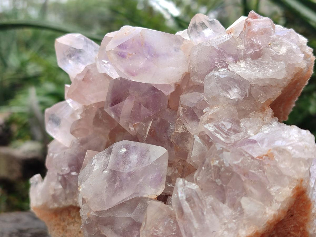 Natural Large Jacaranda Amethyst Cluster x 1 From Mumbwa, Zambia - Toprock Gemstones and Minerals 