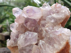 Natural Large Jacaranda Amethyst Cluster x 1 From Mumbwa, Zambia - Toprock Gemstones and Minerals 