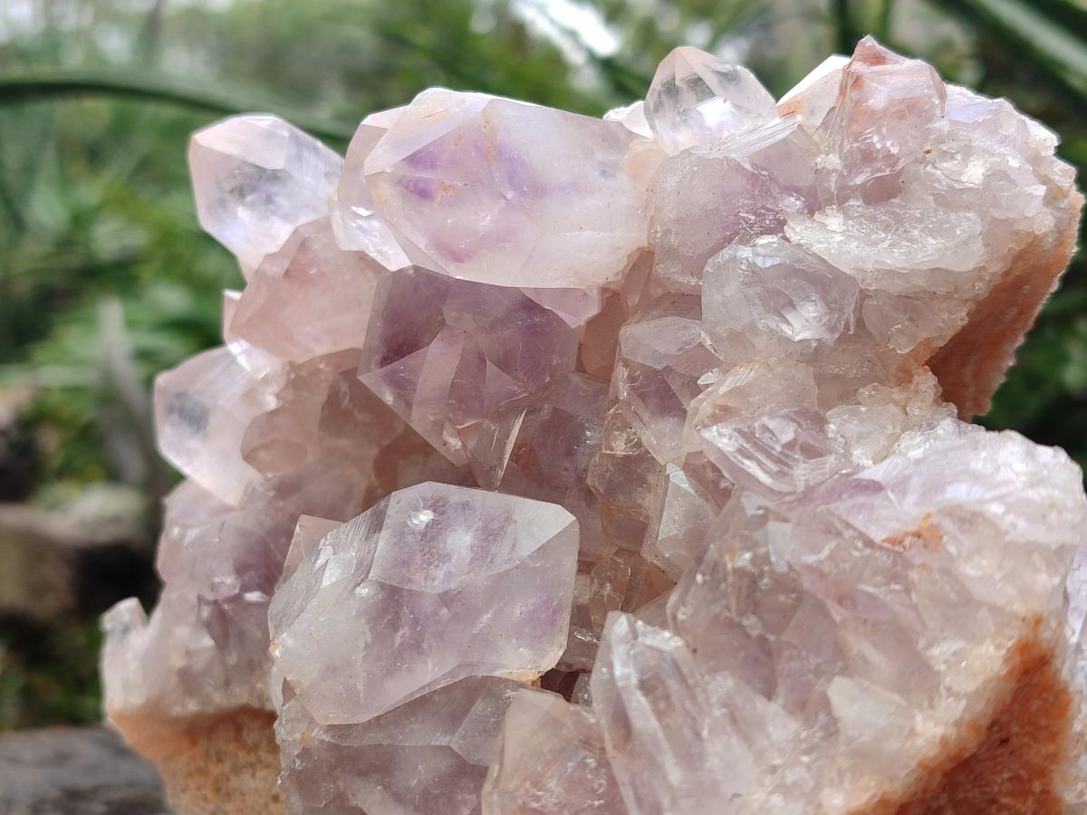 Natural Large Jacaranda Amethyst Cluster x 1 From Mumbwa, Zambia - Toprock Gemstones and Minerals 