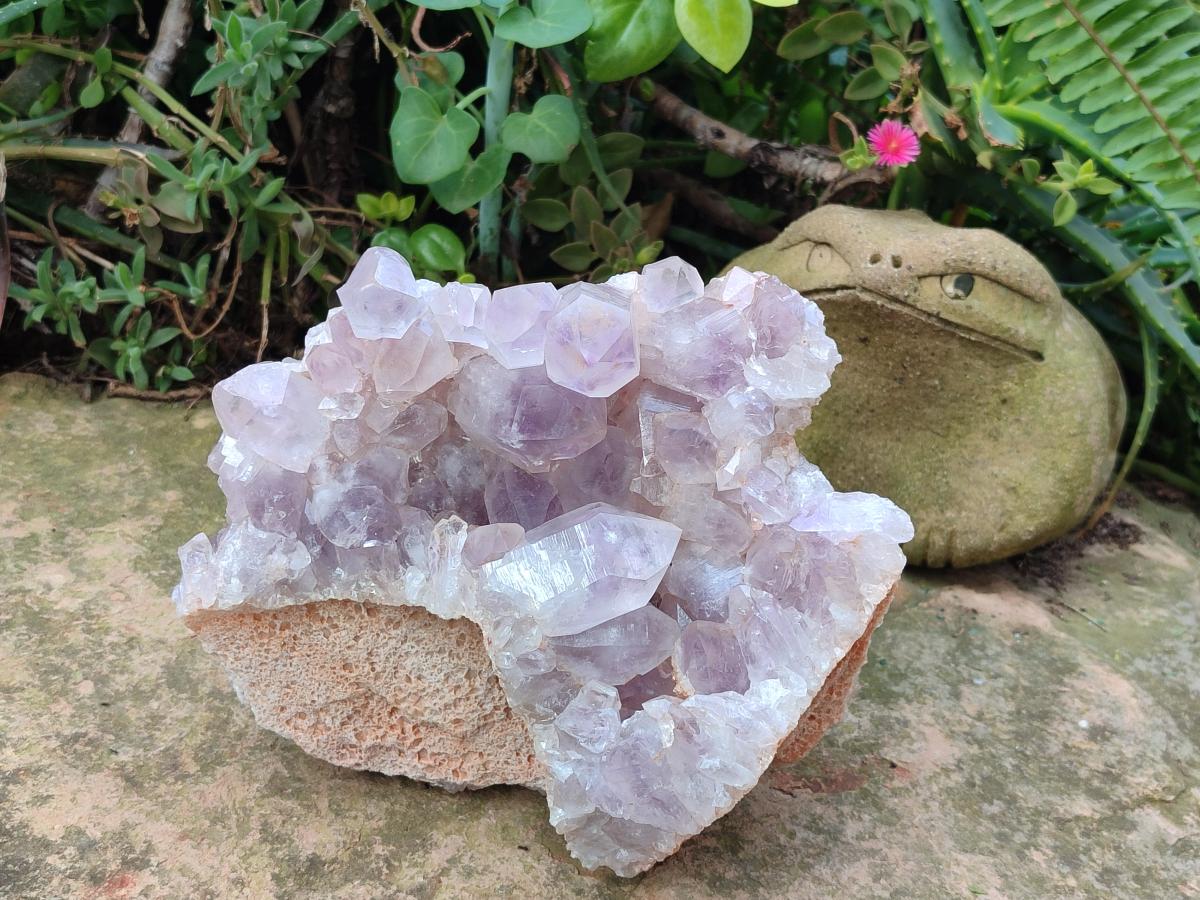 Natural Large Jacaranda Amethyst Cluster x 1 From Mumbwa, Zambia - Toprock Gemstones and Minerals 