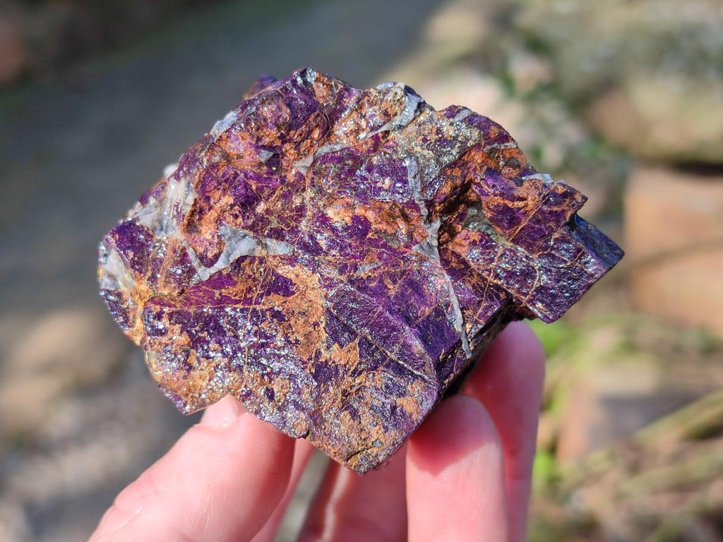 Natural Metallic Cobbed Purpurite Specimens x 12 From Erongo, Namibia - Toprock Gemstones and Minerals 