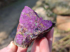 Natural Metallic Cobbed Purpurite Specimens x 12 From Erongo, Namibia - Toprock Gemstones and Minerals 