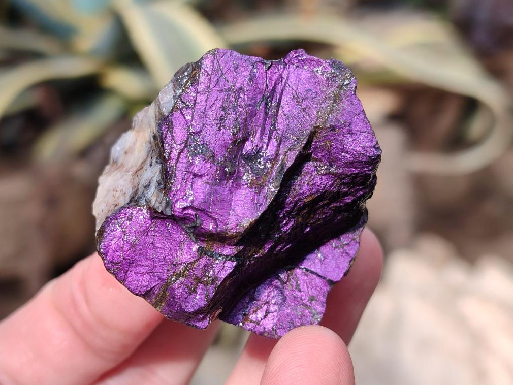 Natural Metallic Cobbed Purpurite Specimens x 12 From Erongo, Namibia - Toprock Gemstones and Minerals 