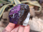 Natural Metallic Cobbed Purpurite Specimens x 12 From Erongo, Namibia - Toprock Gemstones and Minerals 