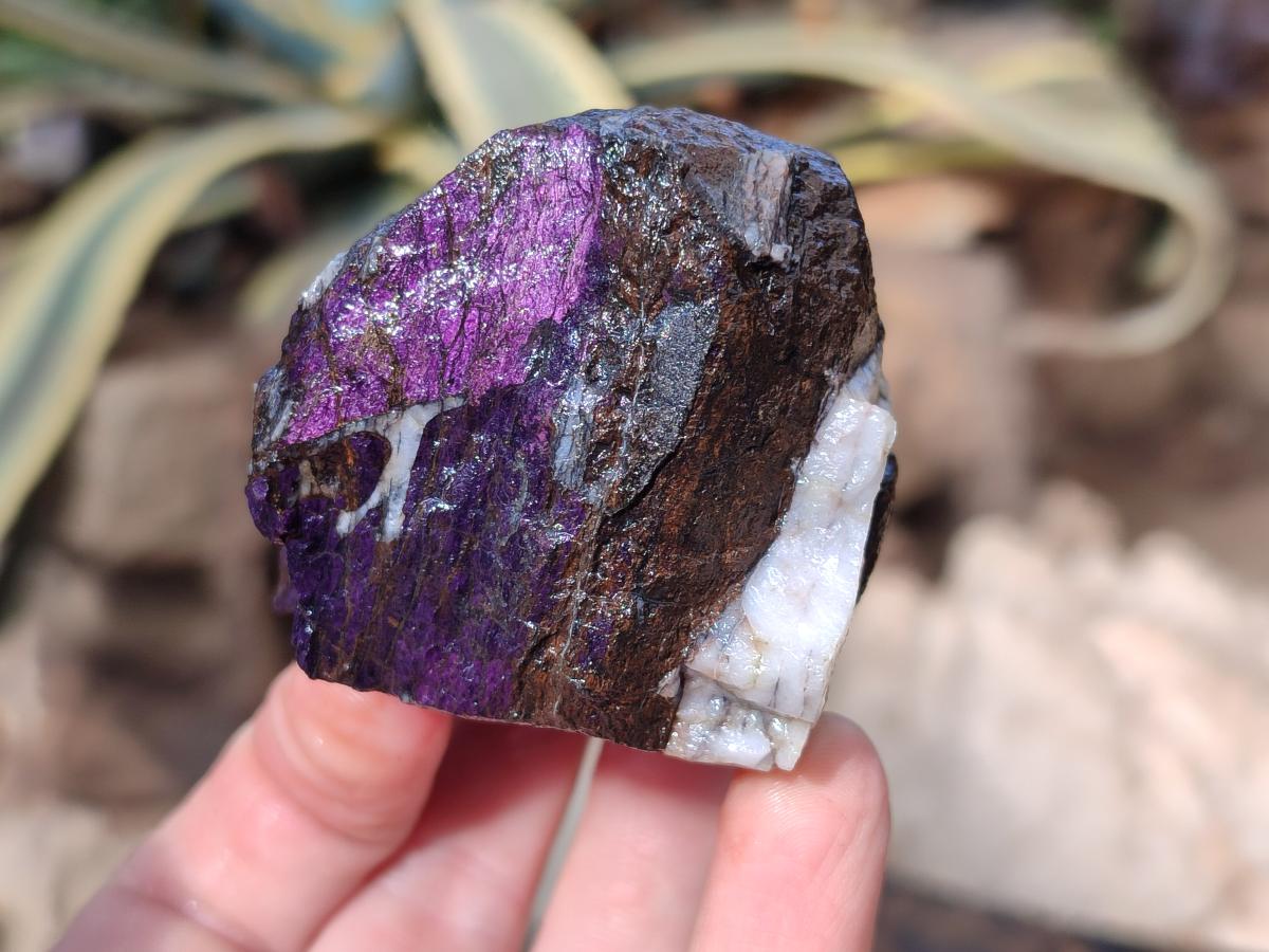 Natural Metallic Cobbed Purpurite Specimens x 12 From Erongo, Namibia - Toprock Gemstones and Minerals 