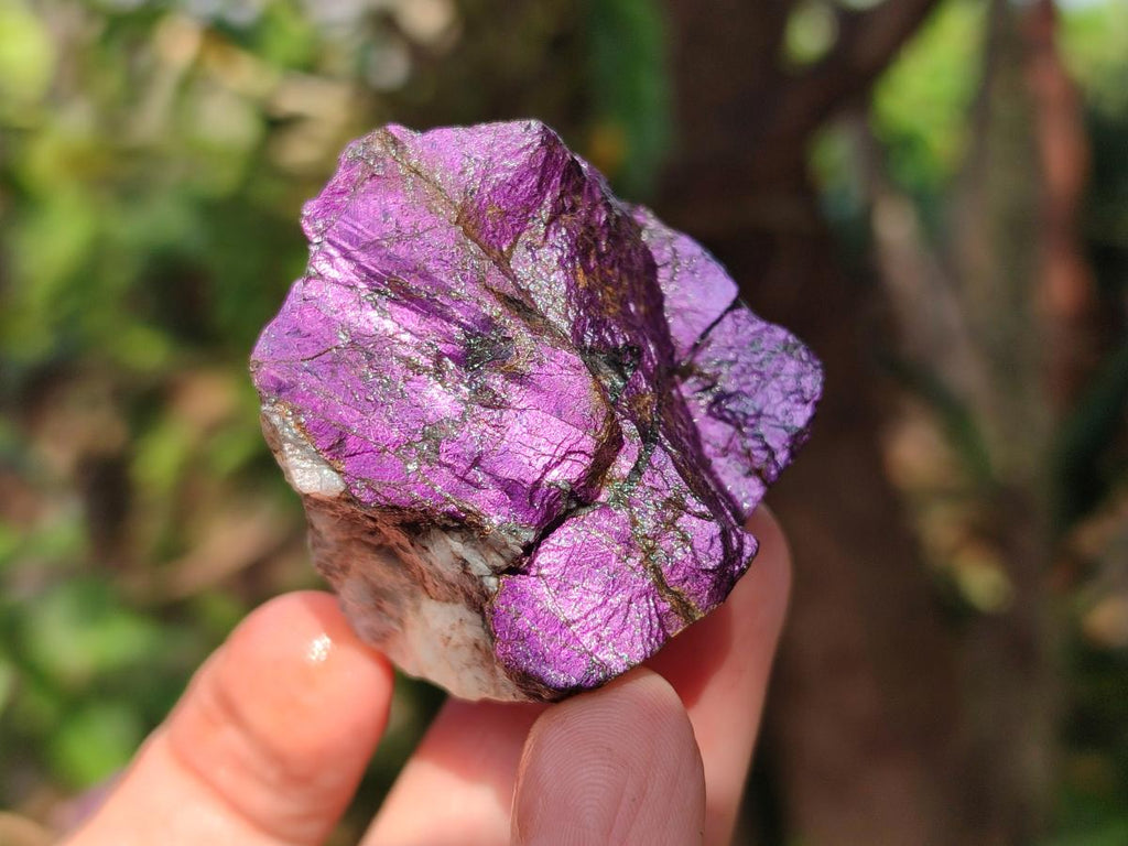 Natural Metallic Cobbed Purpurite Specimens x 12 From Erongo, Namibia - Toprock Gemstones and Minerals 