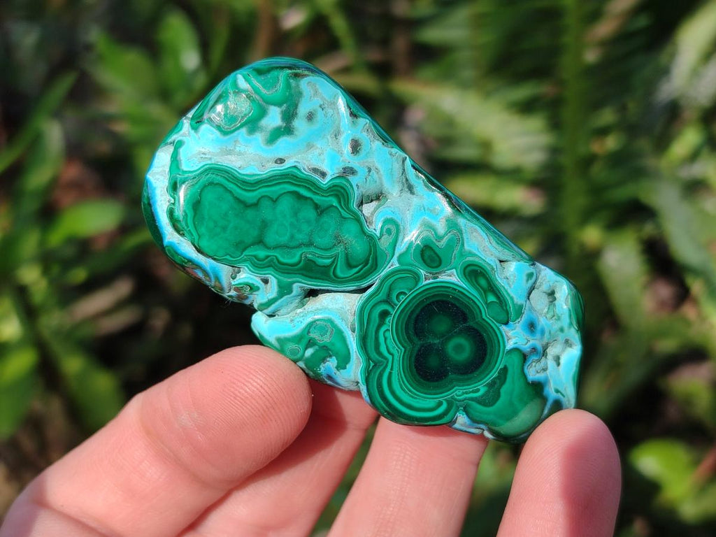 Polished Malacolla Free Forms x 12 From Kulukuluku, Congo - Toprock Gemstones and Minerals 