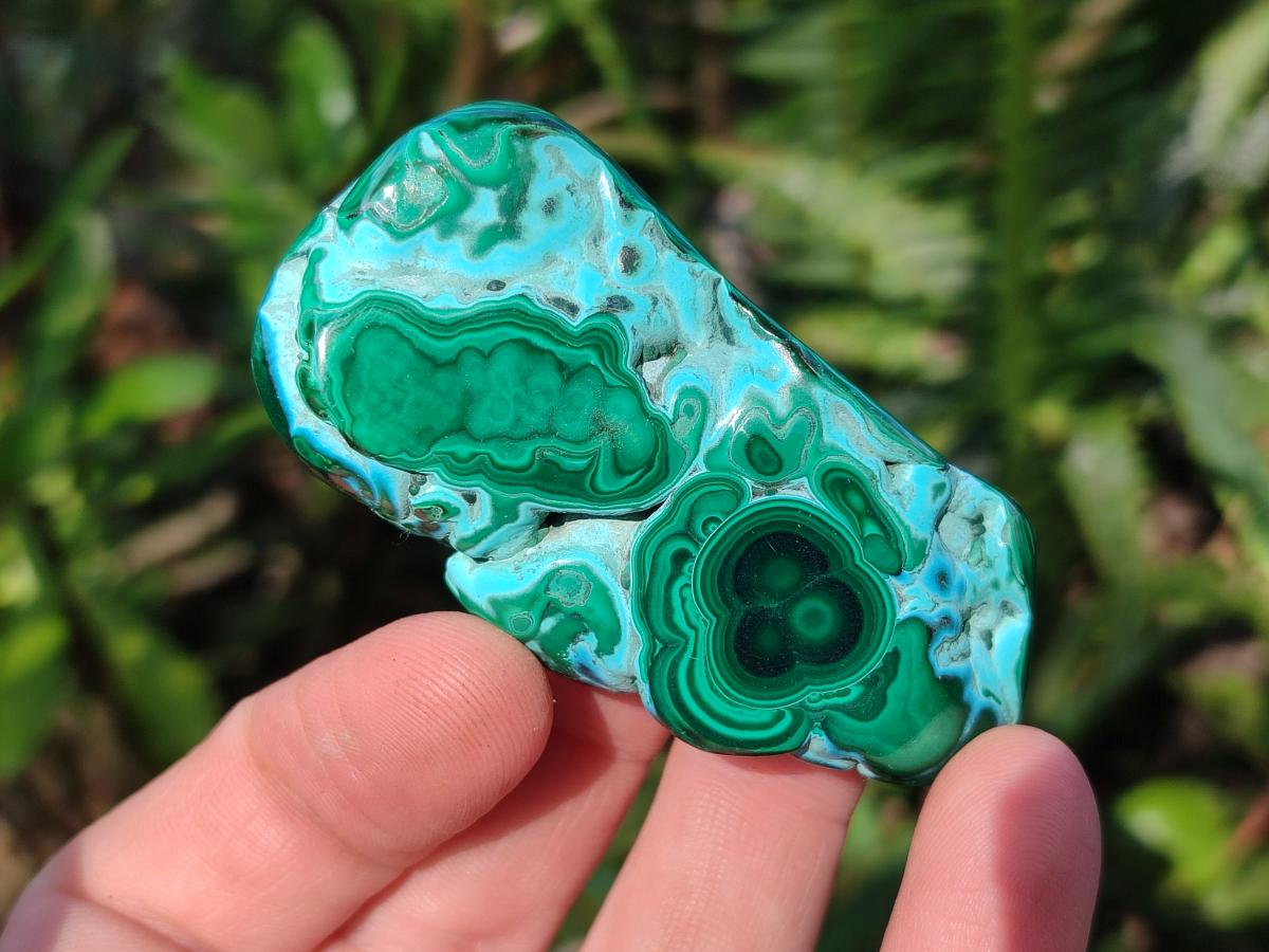 Polished Malacolla Free Forms x 12 From Kulukuluku, Congo - Toprock Gemstones and Minerals 