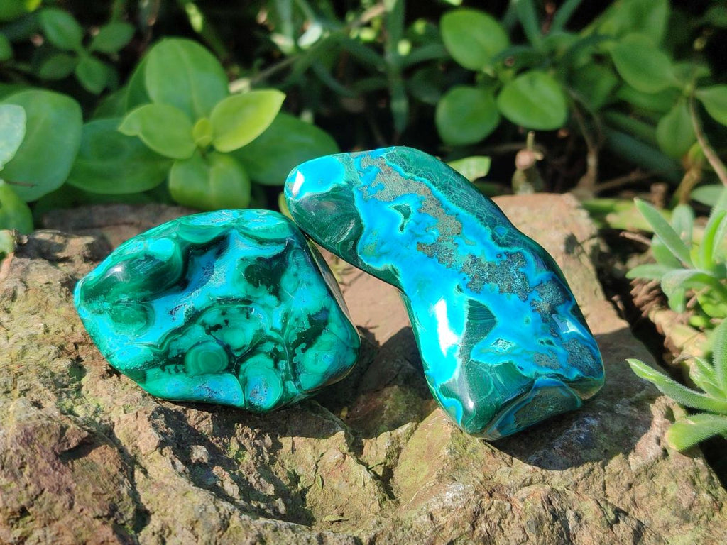 Polished Malacolla Free Forms x 12 From Kulukuluku, Congo - Toprock Gemstones and Minerals 