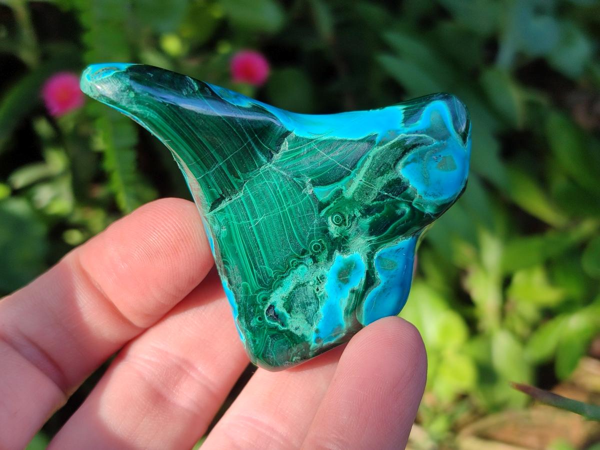 Polished Malacolla Free Forms x 12 From Kulukuluku, Congo - Toprock Gemstones and Minerals 