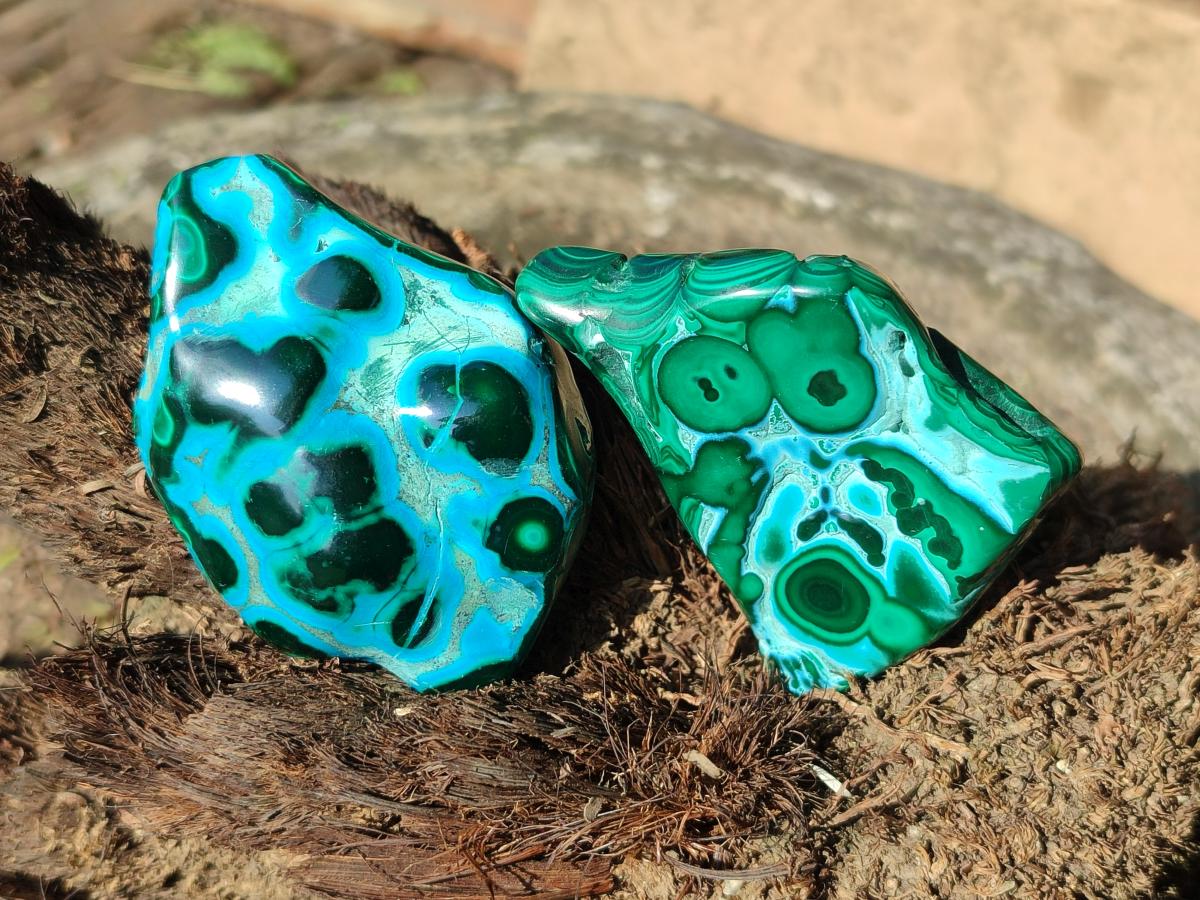 Polished Malacolla Free Forms x 12 From Kulukuluku, Congo - Toprock Gemstones and Minerals 