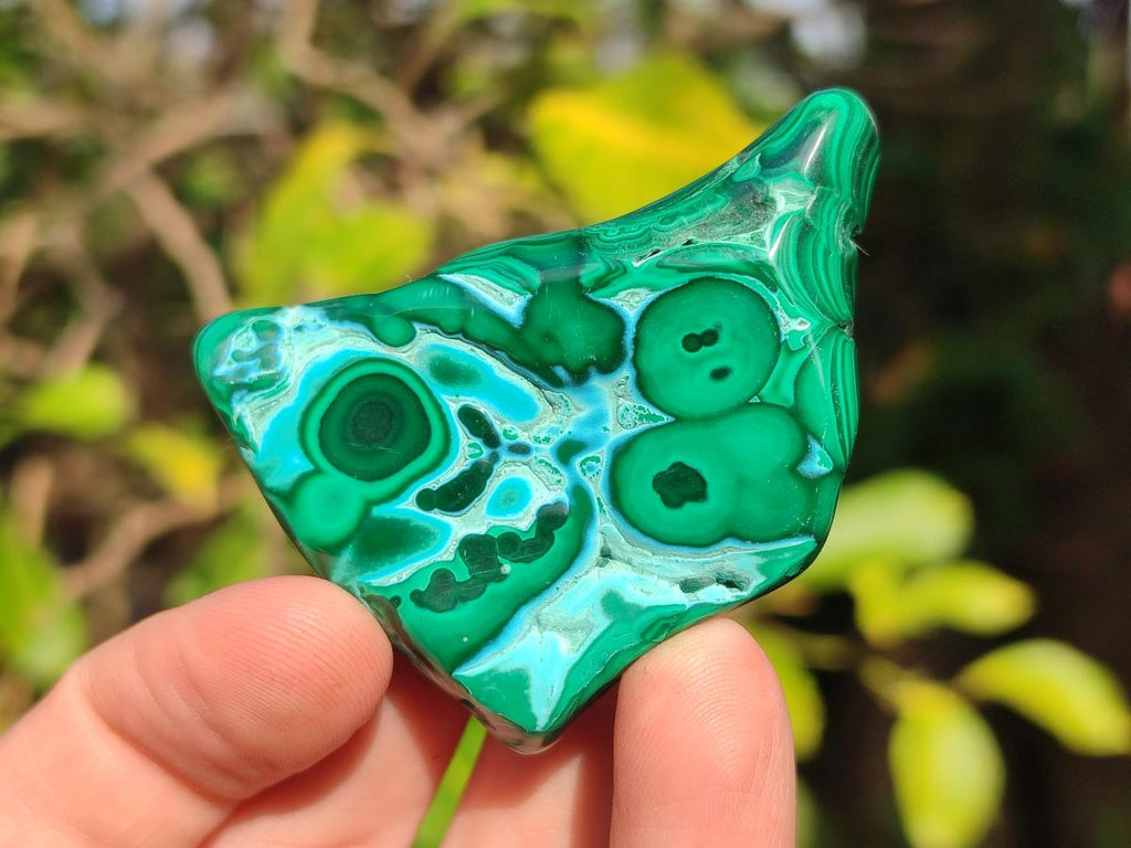 Polished Malacolla Free Forms x 12 From Kulukuluku, Congo - Toprock Gemstones and Minerals 