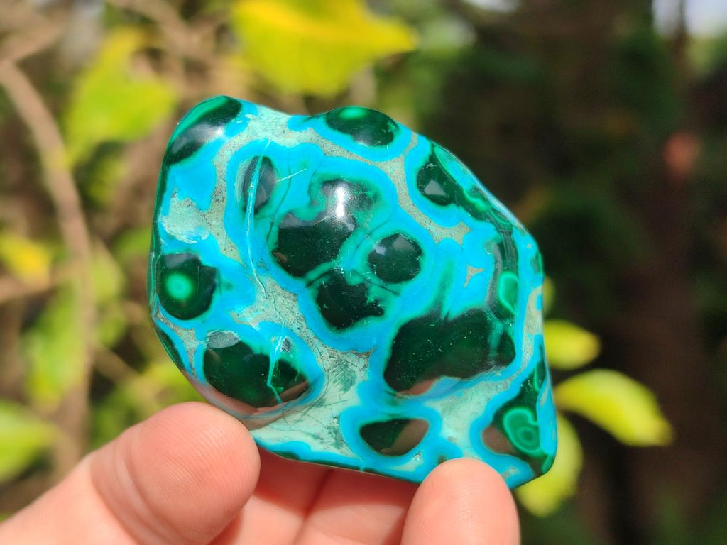 Polished Malacolla Free Forms x 12 From Kulukuluku, Congo - Toprock Gemstones and Minerals 