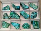 Polished Malacolla Free Forms x 12 From Kulukuluku, Congo - Toprock Gemstones and Minerals 