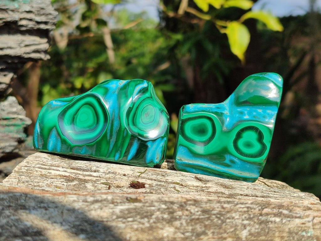 Polished Malacolla Free Forms x 12 From Kulukuluku, Congo - Toprock Gemstones and Minerals 