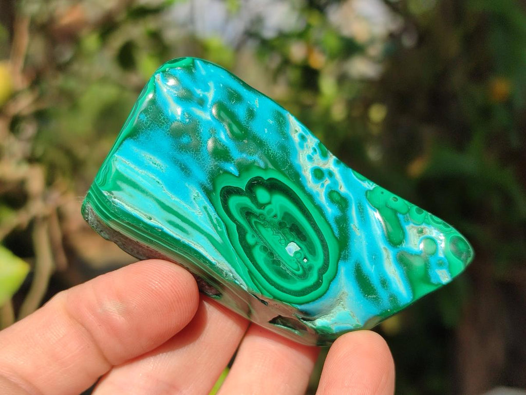Polished Malacolla Free Forms x 12 From Kulukuluku, Congo - Toprock Gemstones and Minerals 