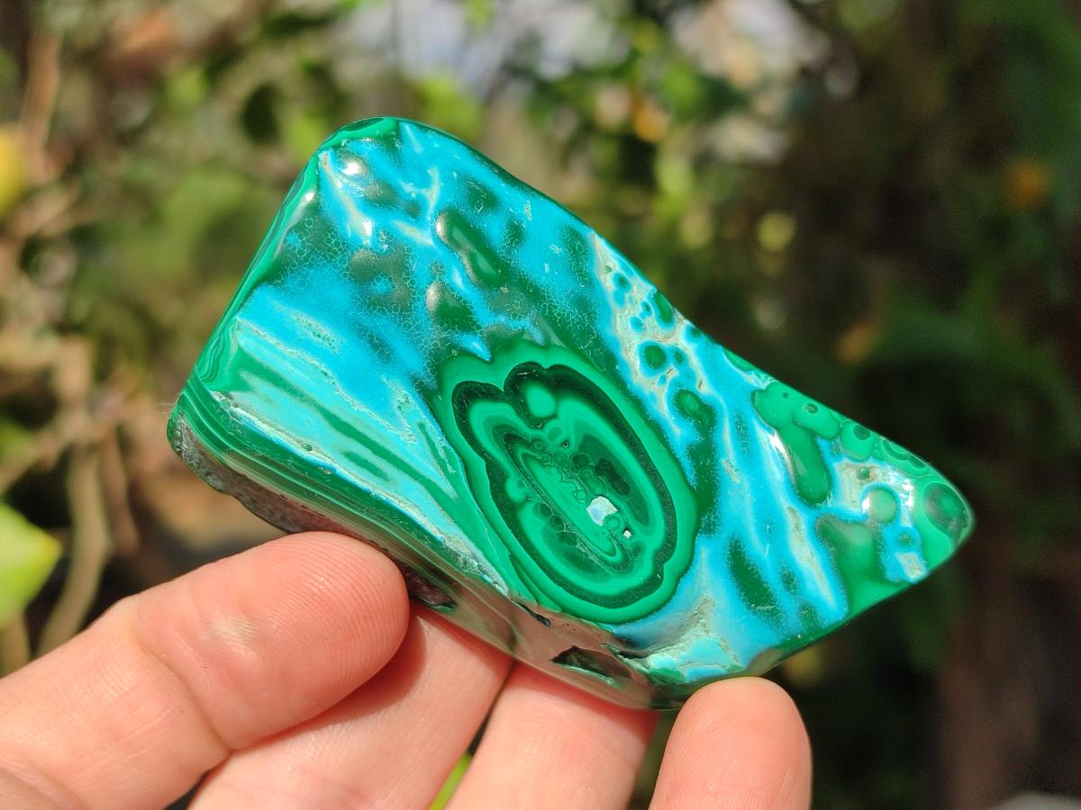 Polished Malacolla Free Forms x 12 From Kulukuluku, Congo - Toprock Gemstones and Minerals 