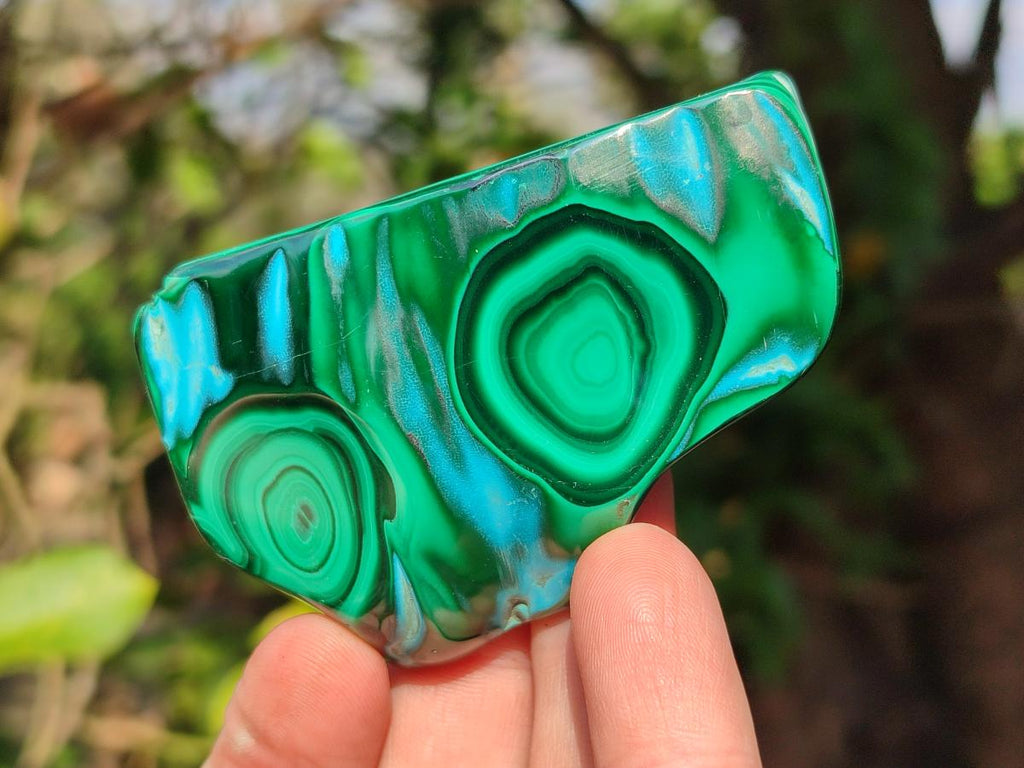 Polished Malacolla Free Forms x 12 From Kulukuluku, Congo - Toprock Gemstones and Minerals 