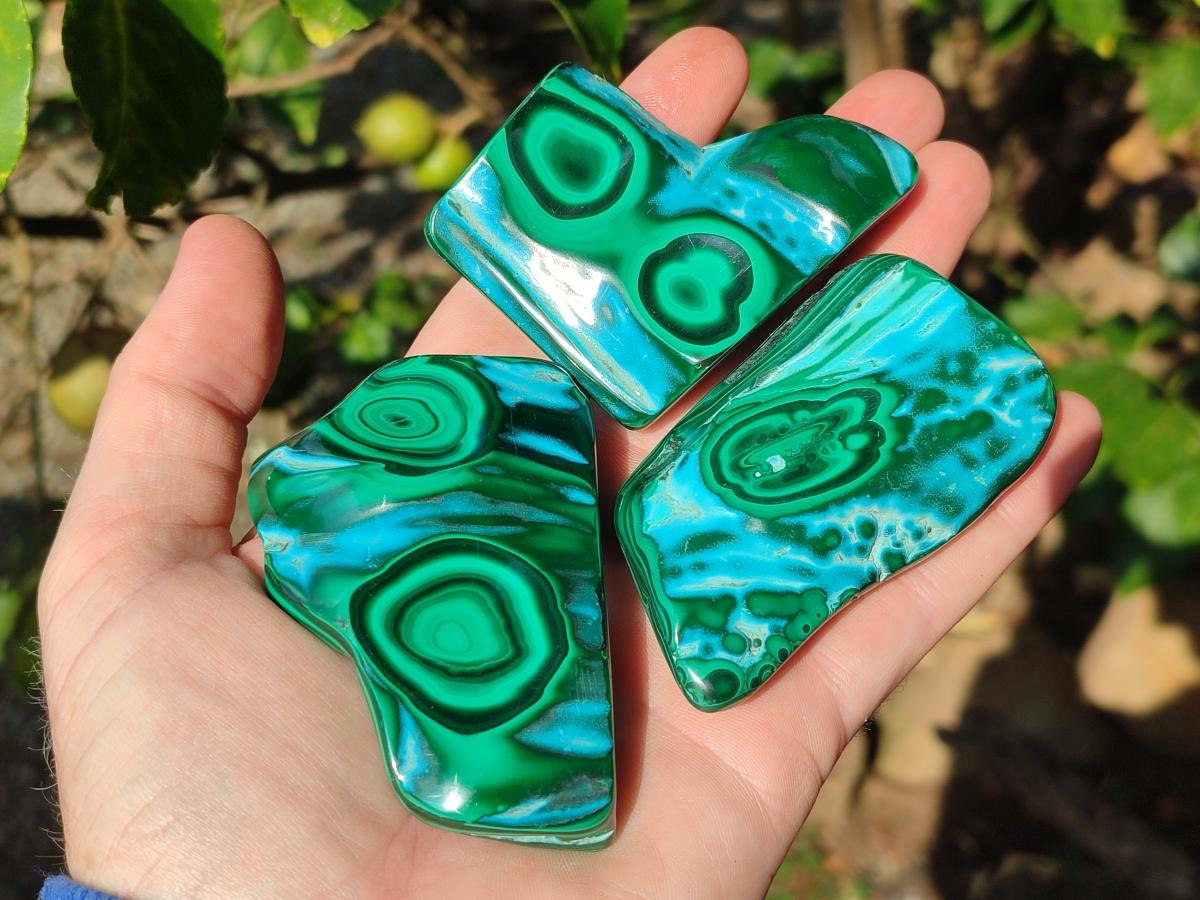 Polished Malacolla Free Forms x 12 From Kulukuluku, Congo - Toprock Gemstones and Minerals 