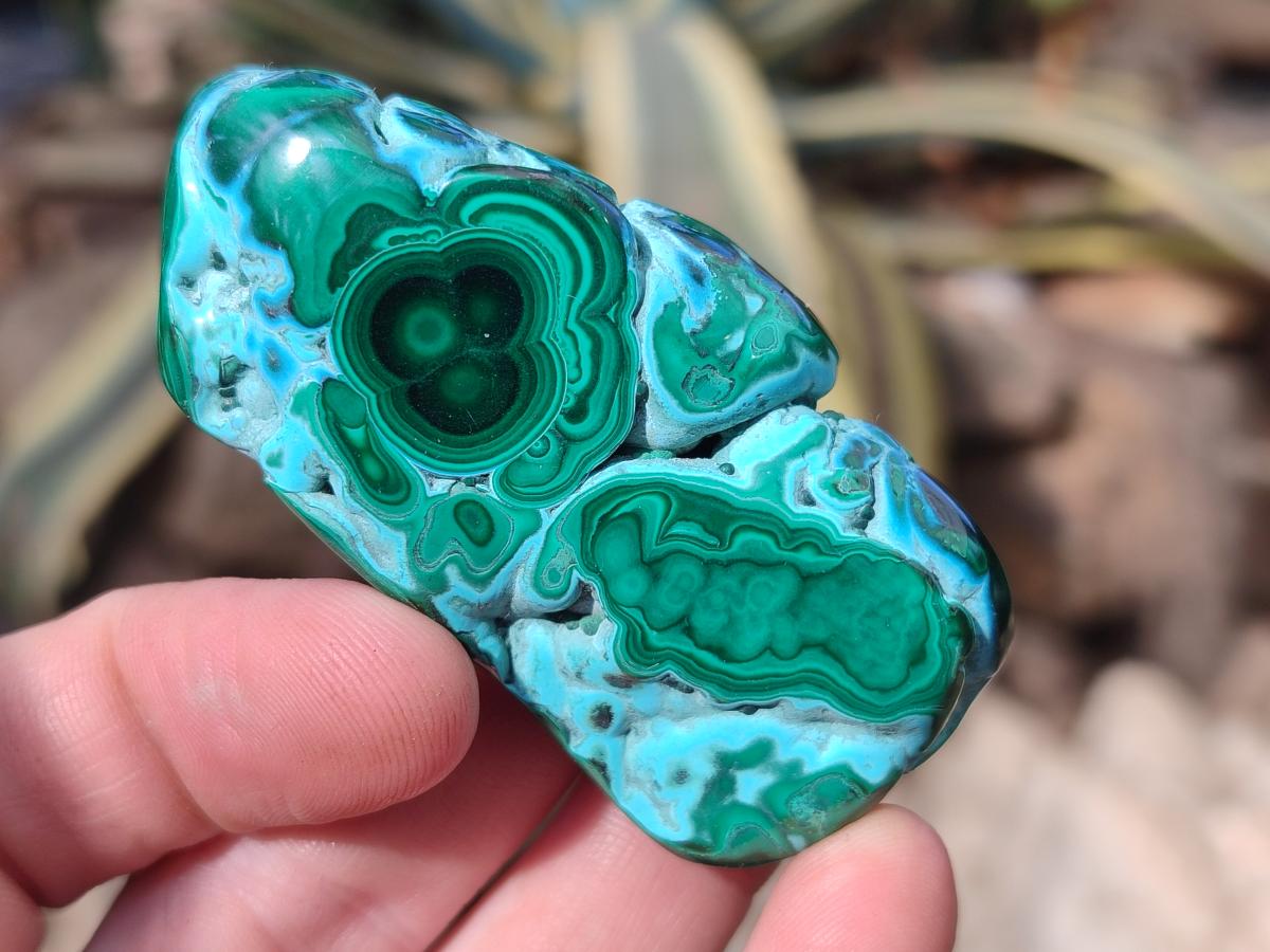 Polished Malacolla Free Forms x 12 From Kulukuluku, Congo - Toprock Gemstones and Minerals 