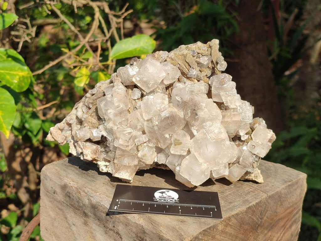 Natural Large Stacked Rhombohedral Calcite Specimen x 1 From Albert's Mountain, Lesotho - Toprock Gemstones and Minerals 