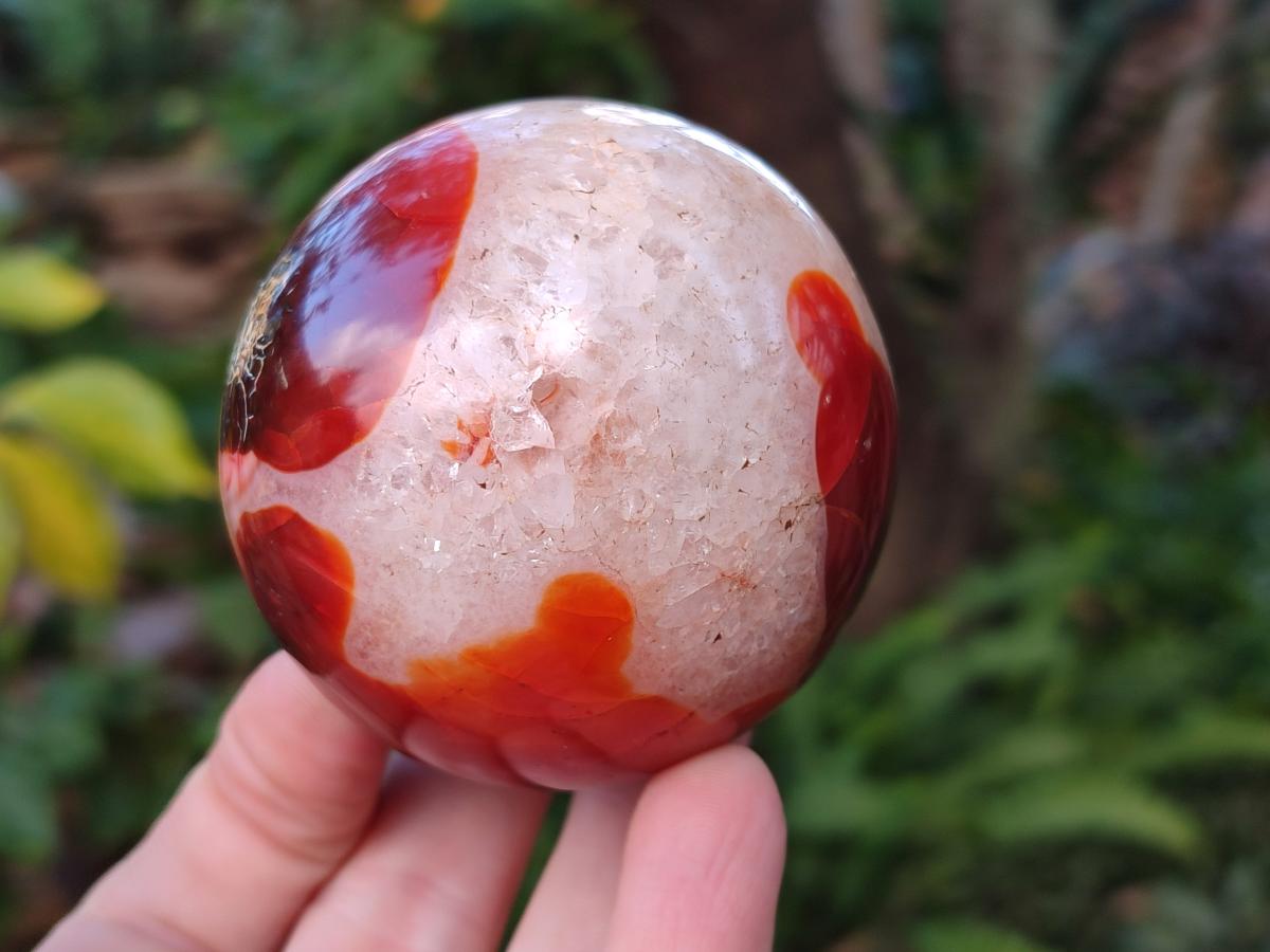 Polished Carnelian Agate Gemstone Spheres x 3 From Madagascar - Toprock Gemstones and Minerals 