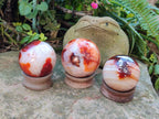 Polished Carnelian Agate Gemstone Spheres x 3 From Madagascar - Toprock Gemstones and Minerals 