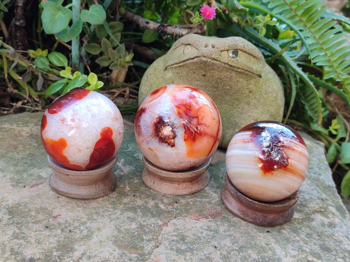 Polished Carnelian Agate Gemstone Spheres x 3 From Madagascar - Toprock Gemstones and Minerals 