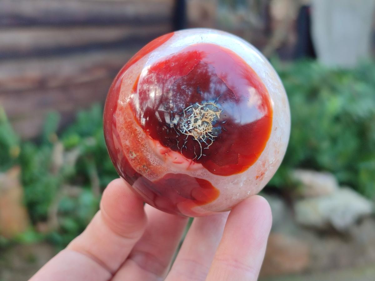 Polished Carnelian Agate Gemstone Spheres x 3 From Madagascar - Toprock Gemstones and Minerals 