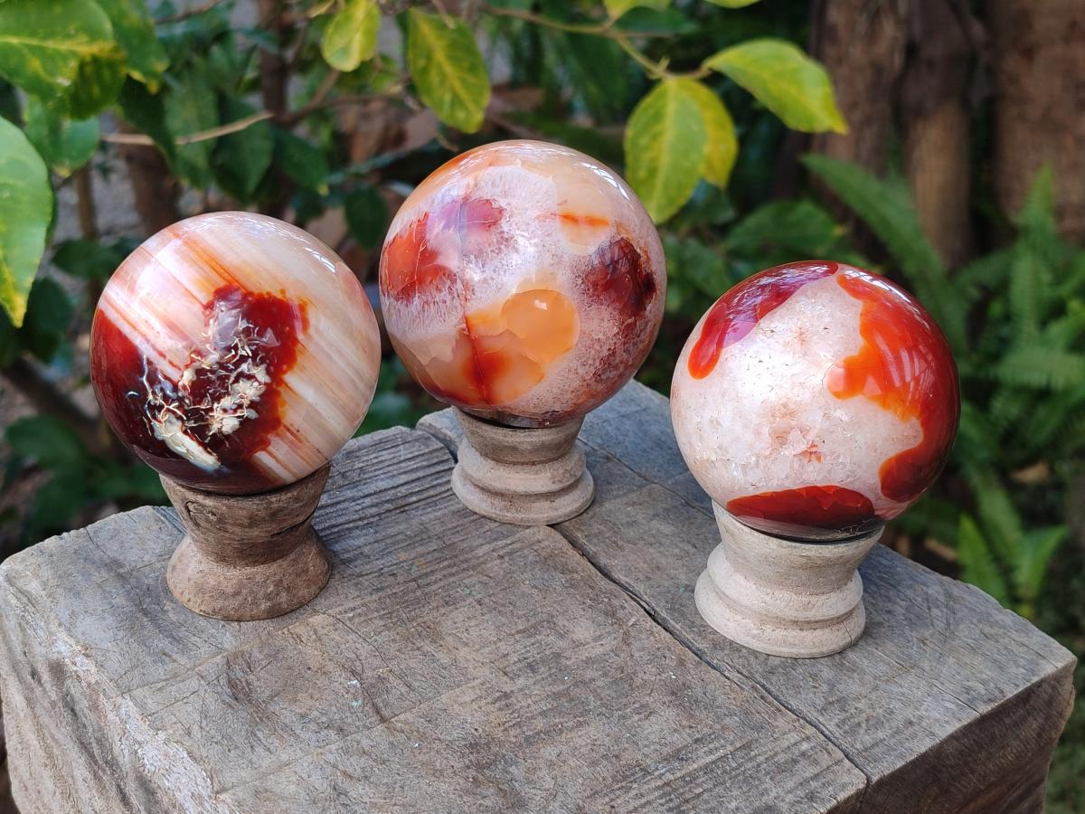 Polished Carnelian Agate Gemstone Spheres x 3 From Madagascar - Toprock Gemstones and Minerals 
