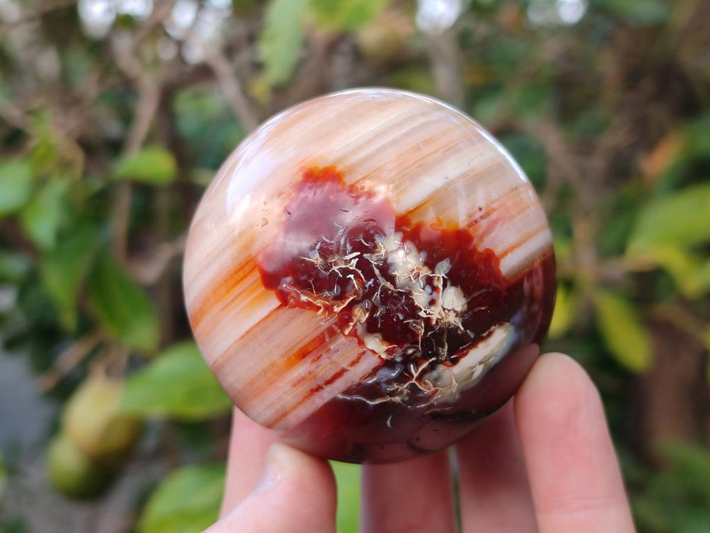 Polished Carnelian Agate Gemstone Spheres x 3 From Madagascar - Toprock Gemstones and Minerals 